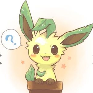 Meet your Posher, Alexandra